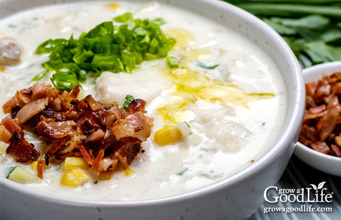 overhead photo of a white bowl filled with fish chowder