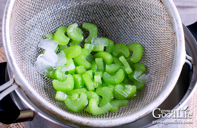 celery in a bowl of ice water