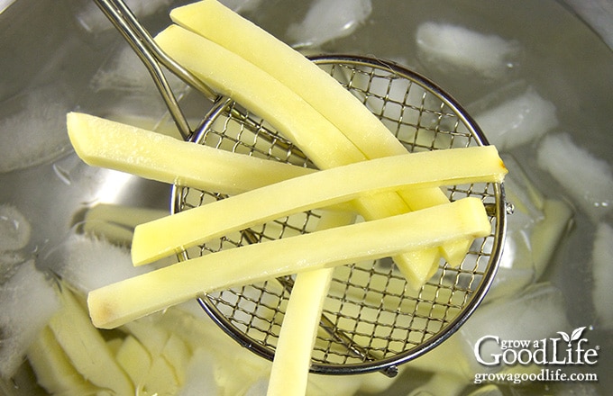 dropping the blanched fries in a bowl of ice water