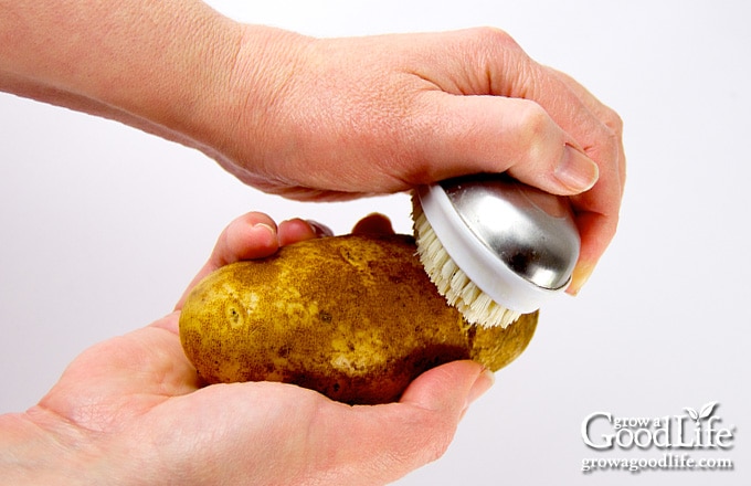 scrubbing potatoes under running water