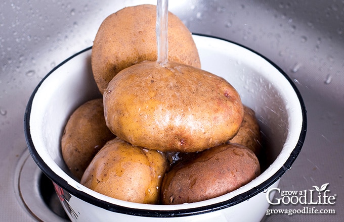 rinsing potatoes in a kitchen sink