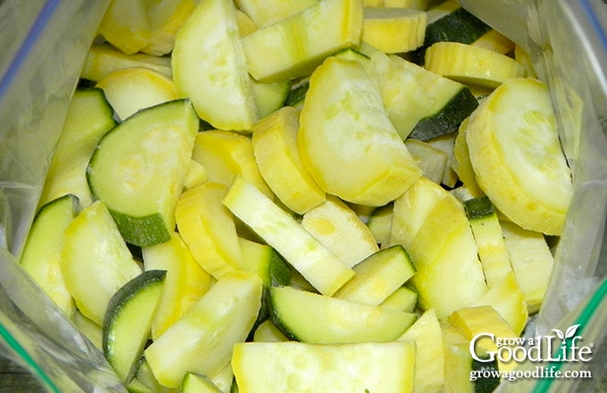 frozen zucchini and summer squash pieces in a freezer bag