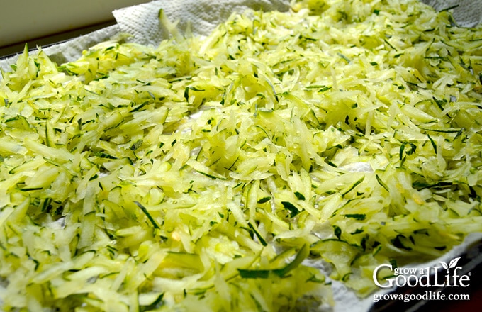 closeup of a pile of shredded zucchini