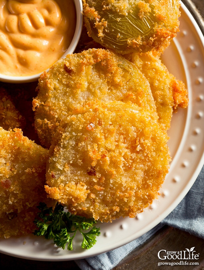 overhead closeup of fried green tomatoes on a white plate