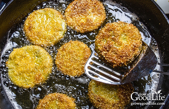 frying breaded green tomato slices in a skillet