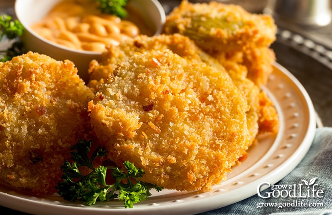 closeup of a plate of crispy fried green tomato slices on a table