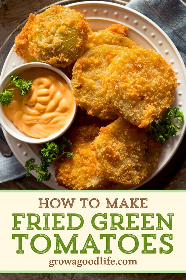 overhead photo of a plate of fried green tomatoes with dipping sauce