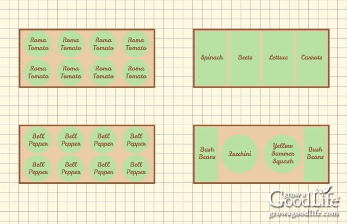 A computer drawing of a vegetable garden layout.