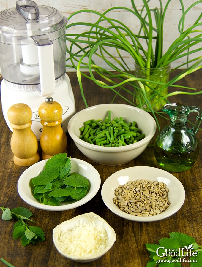 Ingredients for Garlic Scape Lemon Balm Pesto