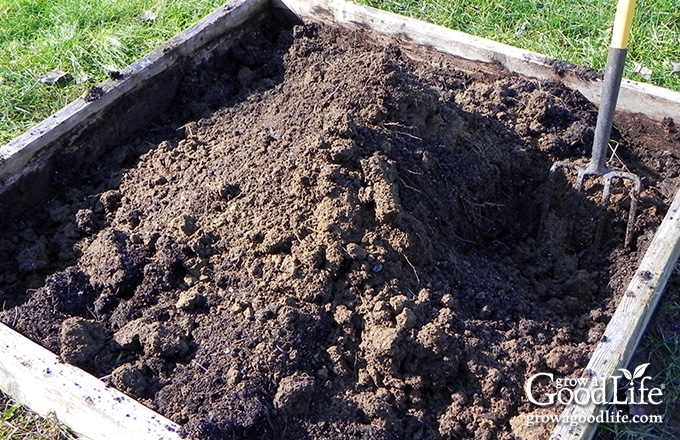 loosening the soil with a digging fork