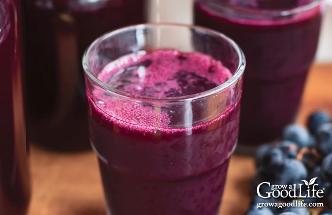 close up of a glass of freshly made grape juice