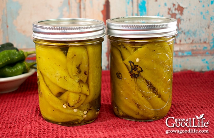 jars of home canned peppers cooling on a red towel