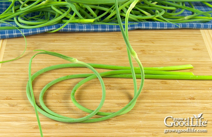 garlic scapes on a cutting board