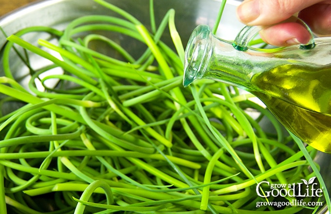 drizzling oil on garlic scapes 