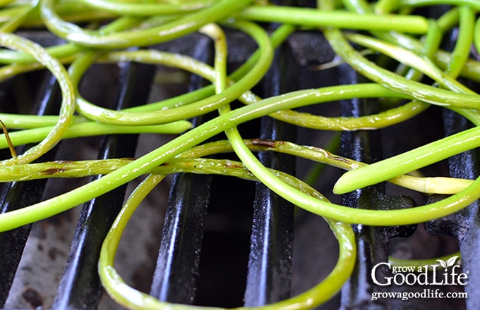 closeup of garlic scapes on the grill