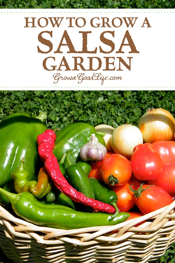 If you enjoy eating fresh salsa in the summer, growing a salsa garden will provide you with the fresh ingredients you need to whip up salsa at a moments notice. See how to plant a salsa garden.