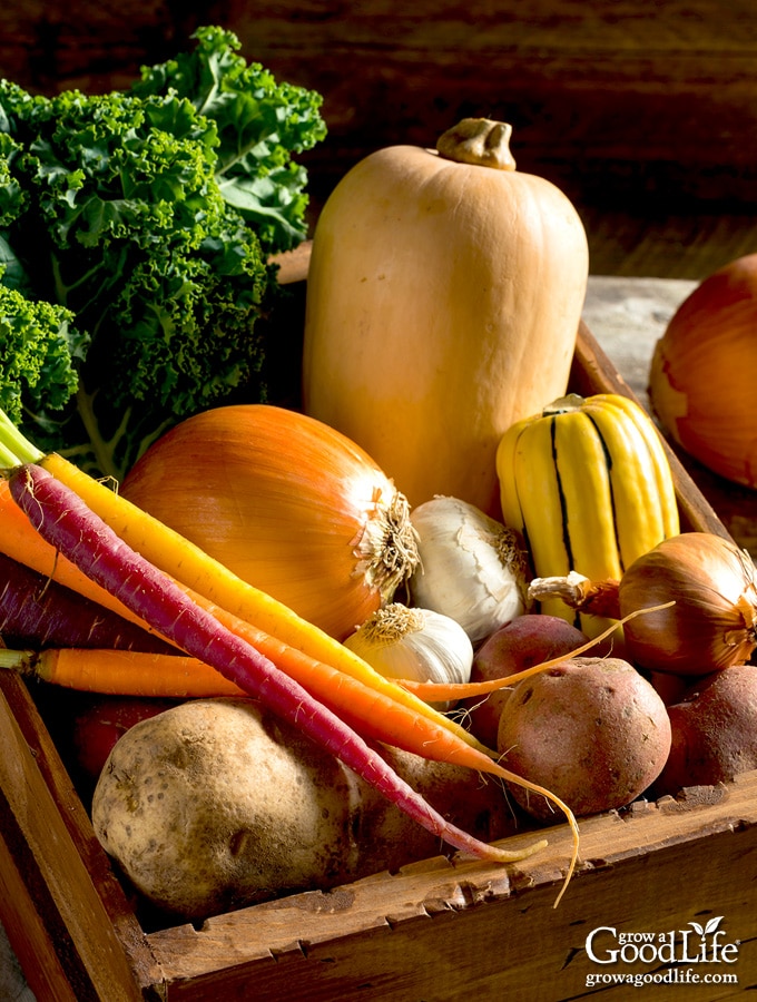 photo if a crate with onions, potatoes, squash, and carrots