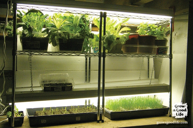 Build a Grow Light System for Starting Seeds Indoors | Grow a Good Life