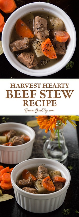 Is there anything that screams comfort food more than your classic beef stew? I call this “Harvest Hearty Beef Stew” because it is filled with vegetables and herbs harvested from our garden. This recipe takes advantage of slow cooking in a crockpot allowing the flavors to infuse and the beef to transform to a tender, melt in your mouth morsel