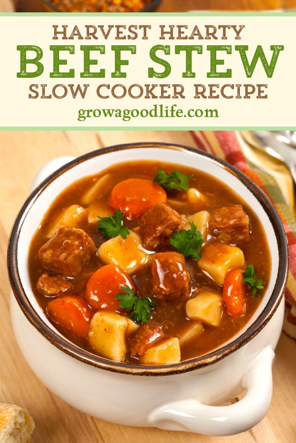 overhead photo of beef stew in a white bowl with text overlay