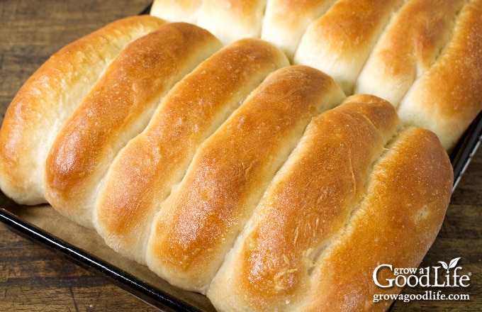 baked rolls in a pan