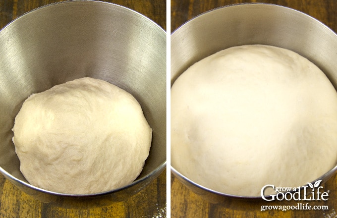 dough rising in bowl