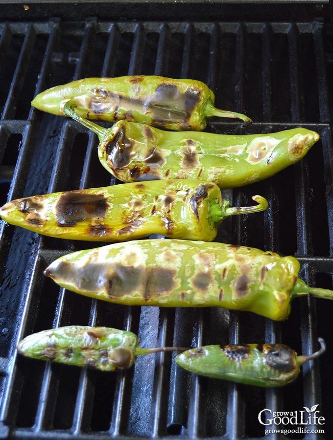 How to Roast and Peel Peppers: Roasting peppers enhances the flavor and allows the tough, bitter skin to peel away from the pepper.