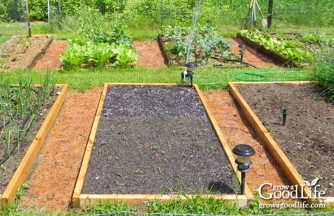 raised bed garden with walking paths in between