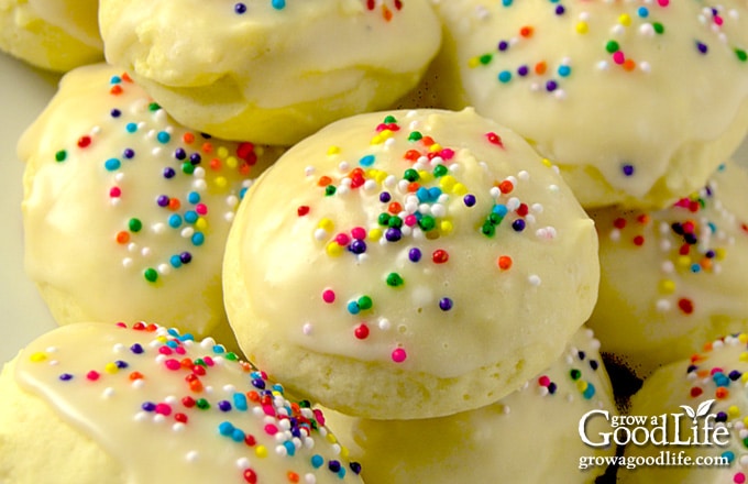 closeup photo of an Italian sprinkle cookie