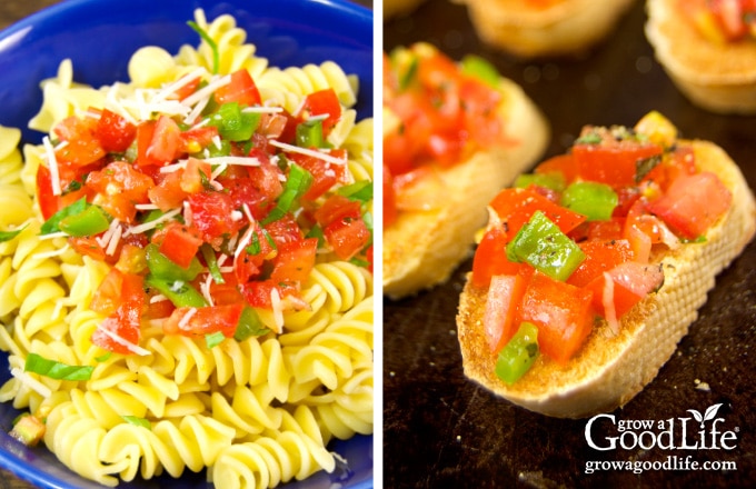 photo of pasta topped with salsa cruda