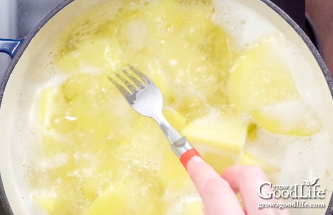 testing the potatoes with a fork