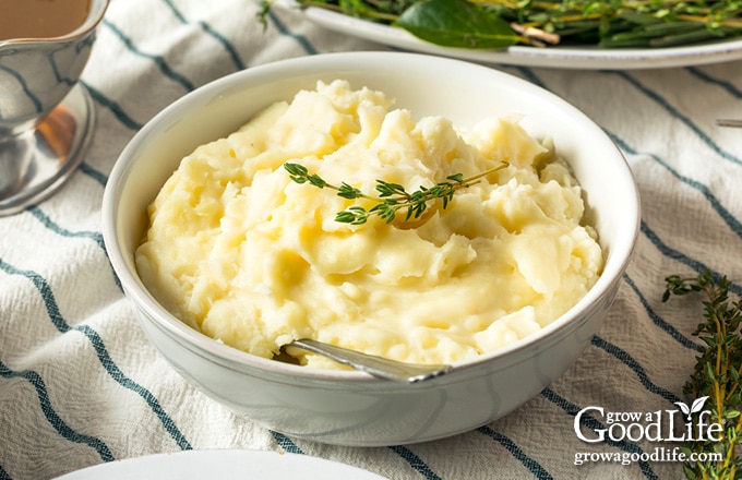 bowl of mashed potatoes on the Thanksgiving table