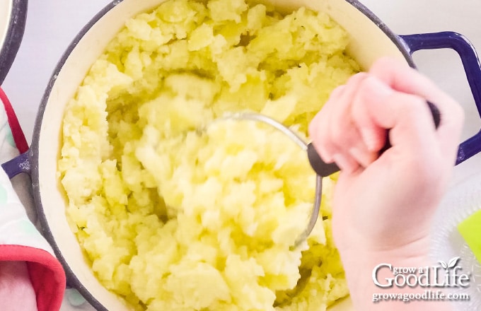 mashing potatoes with a potato masher