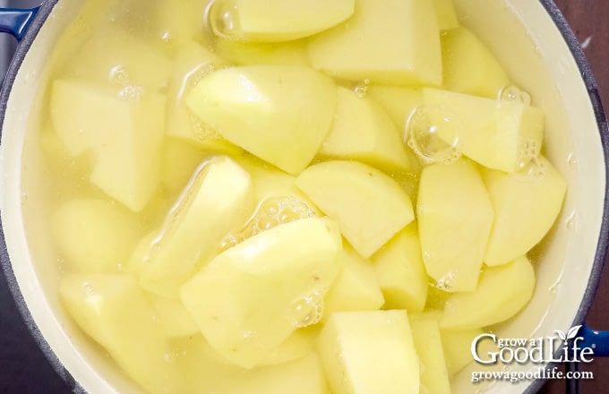 potatoes and water in a pot