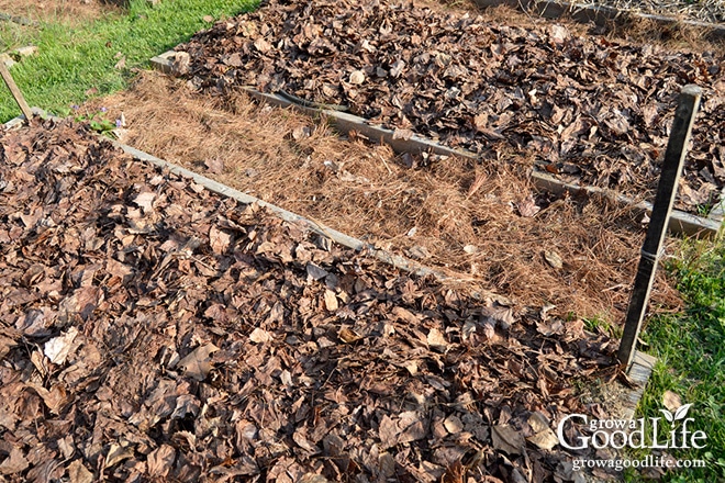 Mulch is any type of material that layered on the surface of the soil. Mulching your garden beds not only helps suppress weeds, it also prevents soil erosion and moderates soil-temperature fluctuations. Water, air and nutrients can filter through and reach the soil, but the mulch prevents moisture from evaporating and shades the soil surface keeping the roots cool. Organic mulches break down over time, enriching your soil as they decompose.