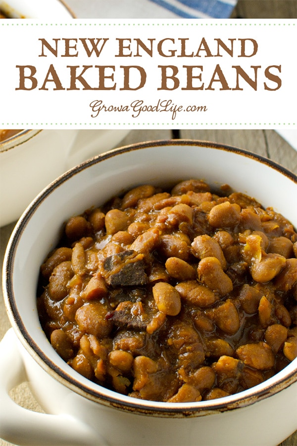 This traditional New England Baked Beans recipe is made from simple ingredients and tastes delicious. Use your crockpot and let it simmer all day.