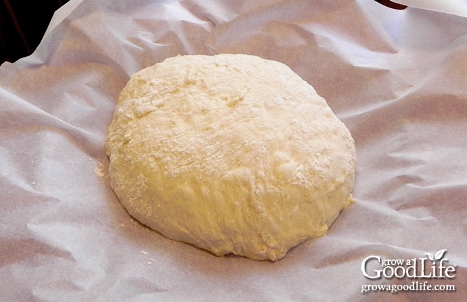 dough ball on parchment paper