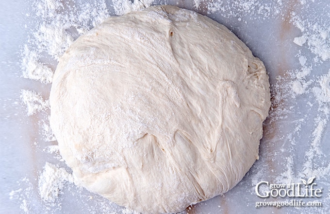 bread dough resting on floured surface