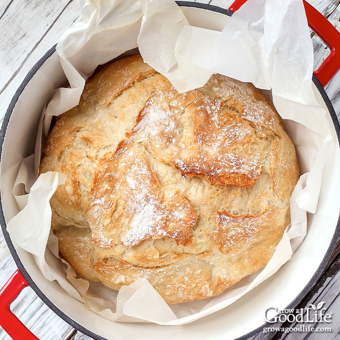 baked no knead bread in a red dutch oven on a table