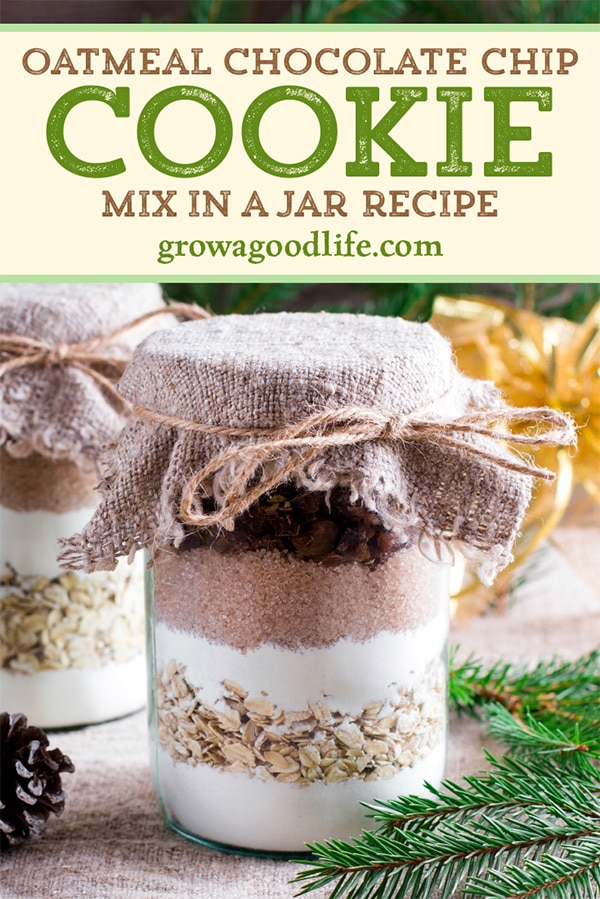 jar of cookie mix for gift giving