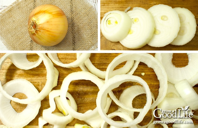 cutting a large onion into rings