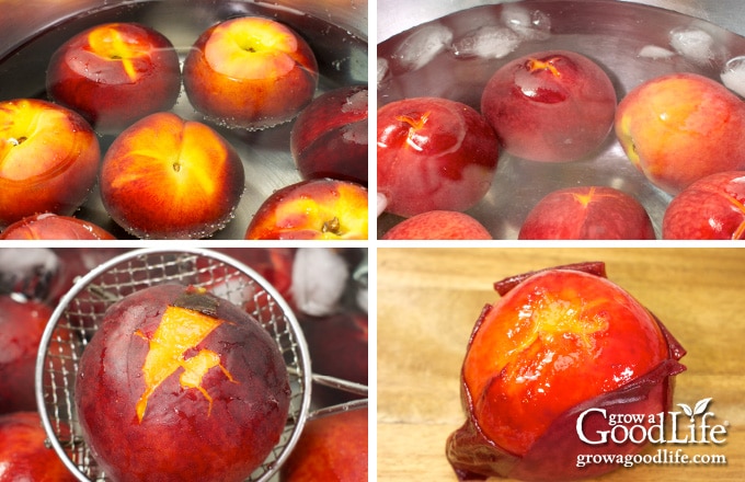 steps for blanching and peeling peaches