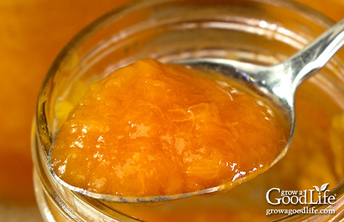 closeup image of peach jam on a spoon