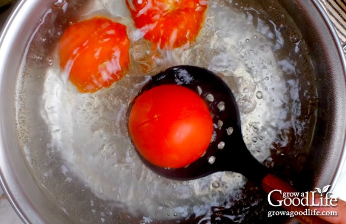 Tomatoes in pot of boiling water.