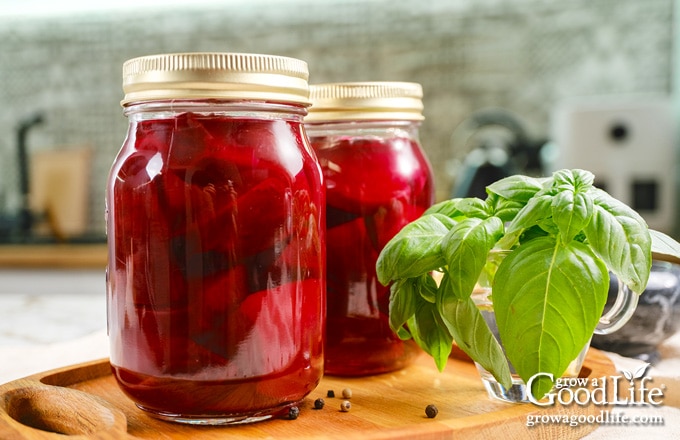 Two jars of home canned pickled beets on a table.