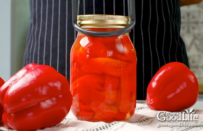 Using the jar lifter to place the filled jar into the canner.