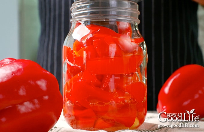 Topping the jar off with hot pickling brine.