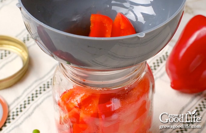 Overhead view of filling the jar with garlic, salt, and peppers.