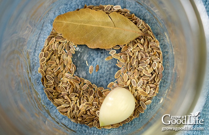 over head view of pickling spices in a jar