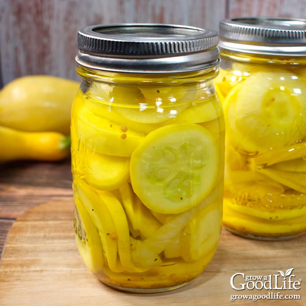 Jars of home canned pickled yellow summer squash on a table.